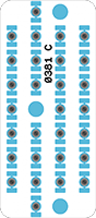 0381_WEB.png