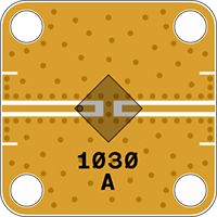 1030_WEB.png