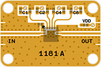 1181_WEB.png