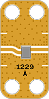 1229_WEB