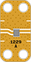 1229_WEB.png