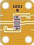 1231_WEB